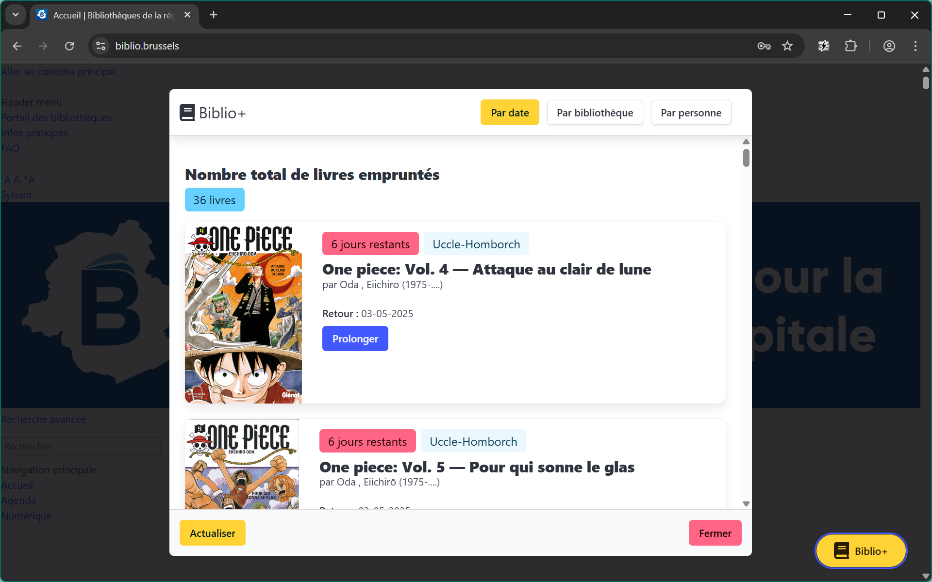Capture d'écran de l'extension Biblio+